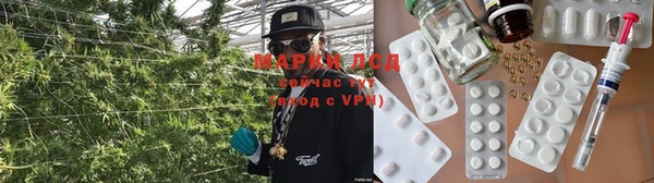 амф Аркадак