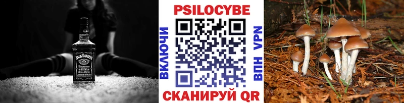 мега как войти  купить  цена  Покров  Псилоцибиновые грибы MAGIC MUSHROOMS 